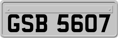 GSB5607