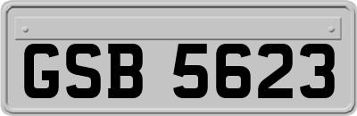 GSB5623