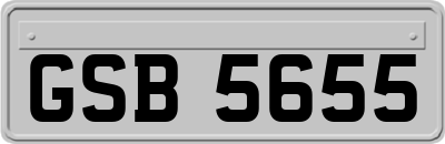 GSB5655