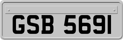 GSB5691