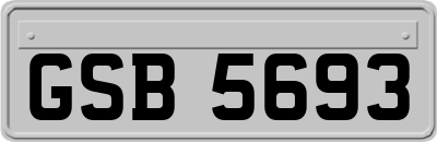 GSB5693