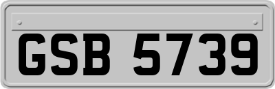 GSB5739