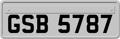 GSB5787