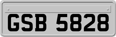 GSB5828