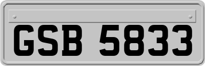 GSB5833