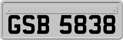 GSB5838