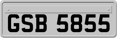 GSB5855