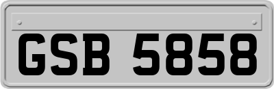 GSB5858