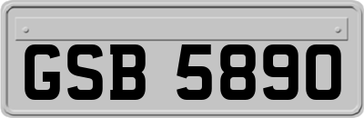 GSB5890