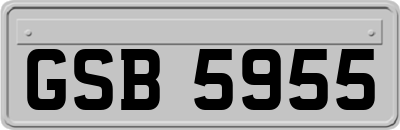 GSB5955