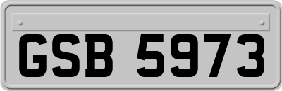 GSB5973