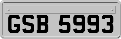 GSB5993