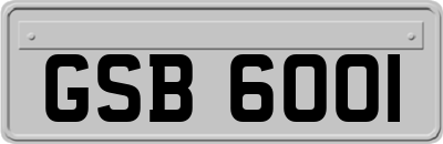 GSB6001