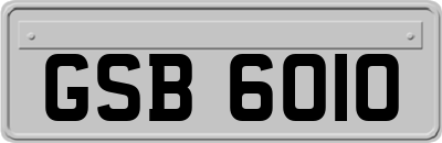 GSB6010