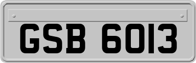 GSB6013