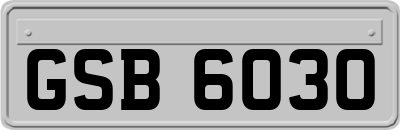 GSB6030