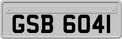 GSB6041