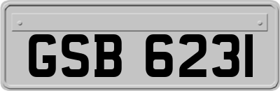 GSB6231