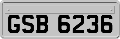 GSB6236