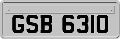 GSB6310
