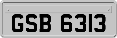 GSB6313