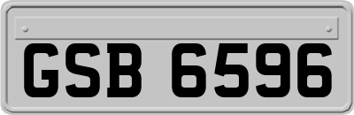 GSB6596