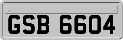GSB6604