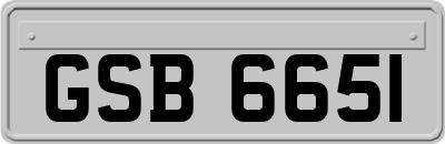 GSB6651
