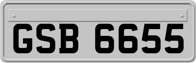 GSB6655