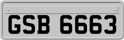 GSB6663