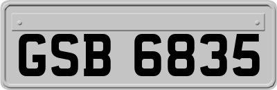 GSB6835