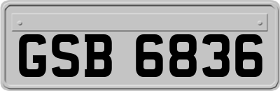 GSB6836