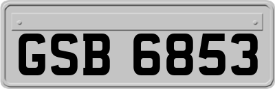 GSB6853