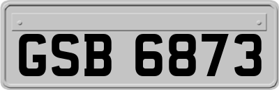 GSB6873