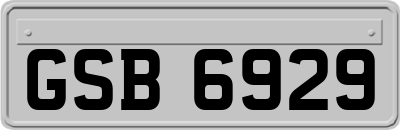 GSB6929