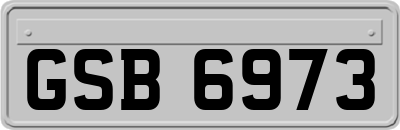 GSB6973