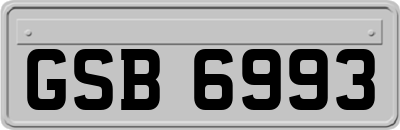GSB6993