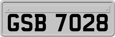GSB7028