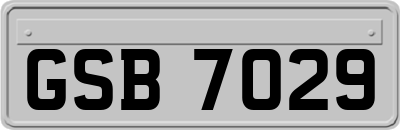 GSB7029