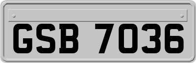 GSB7036
