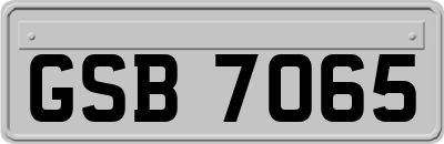 GSB7065