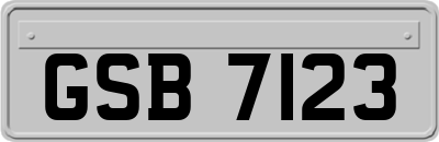 GSB7123