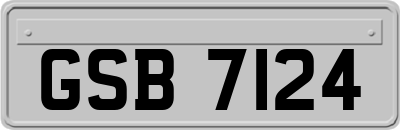 GSB7124