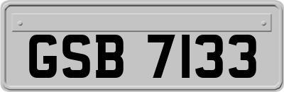 GSB7133