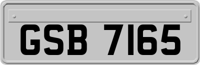 GSB7165