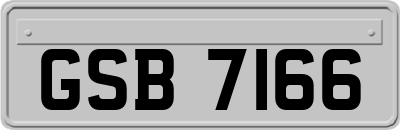 GSB7166
