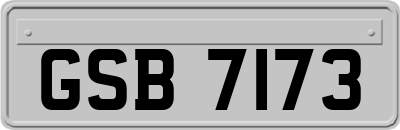 GSB7173