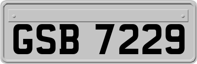 GSB7229