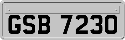 GSB7230