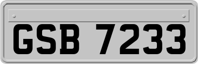 GSB7233